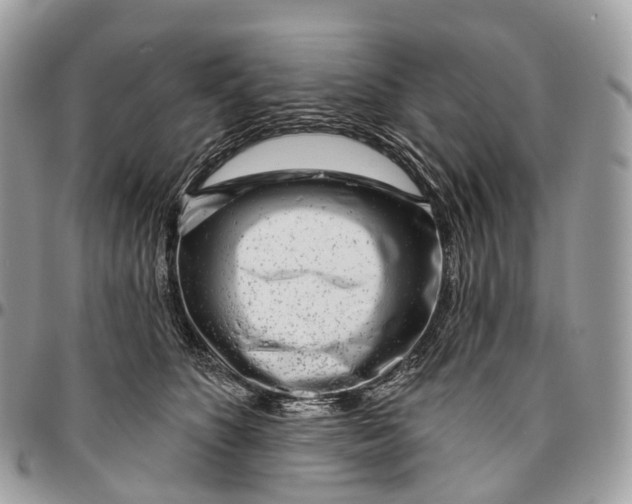 X0000096470516200802141701