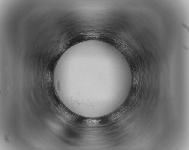 X0000096470518200802141701