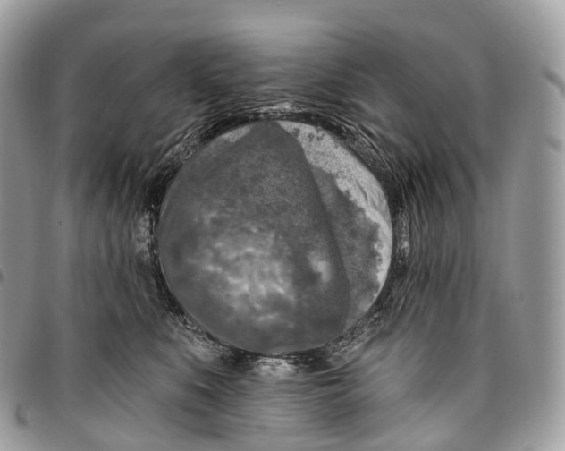 X0000096470519200802141701