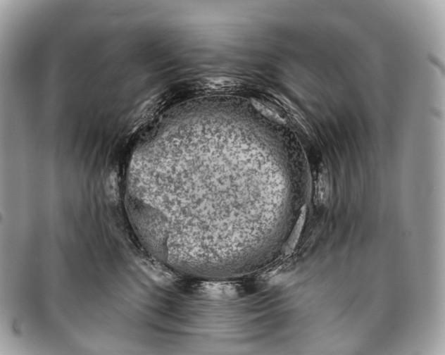 X0000096470520200802141701