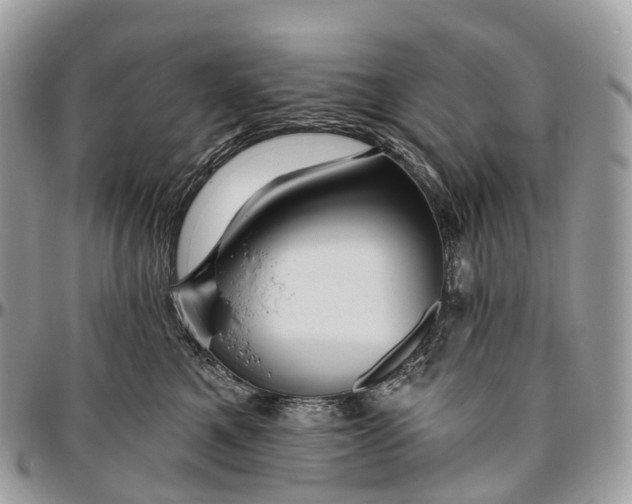 X0000096470521200802141701