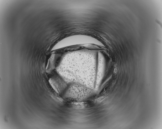 X0000096470524200802141701