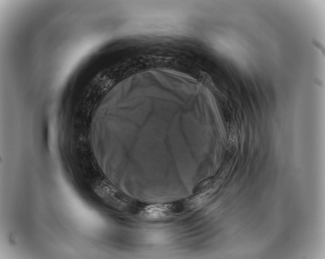 X0000096470526200802141701