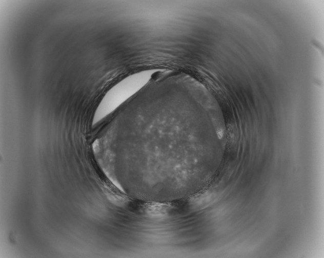 X0000096470527200802141701