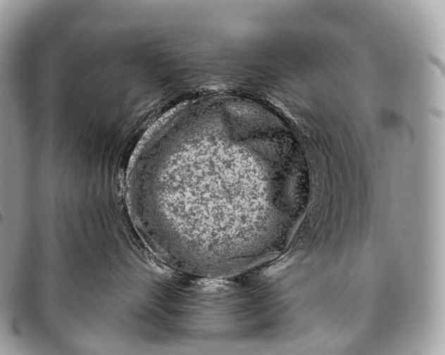 X0000096470528200802141701