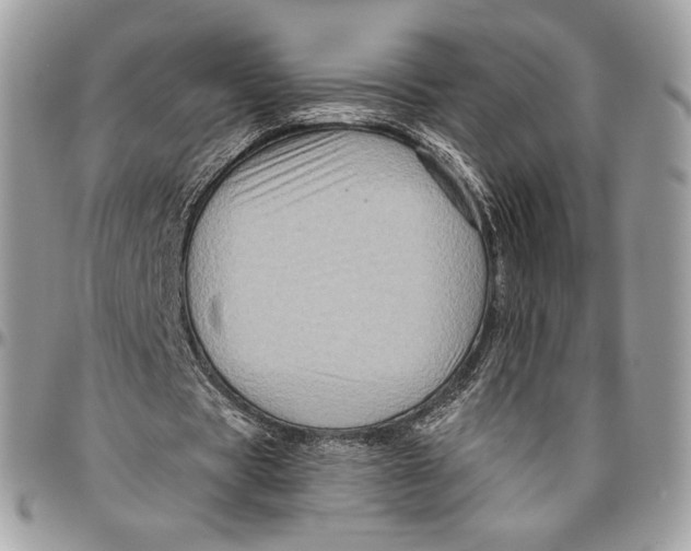 X0000096470529200802141700