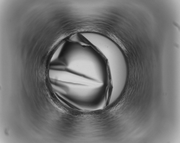 X0000096470530200802141700