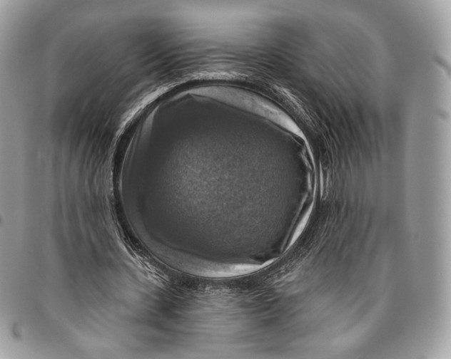 X0000096470531200802141700