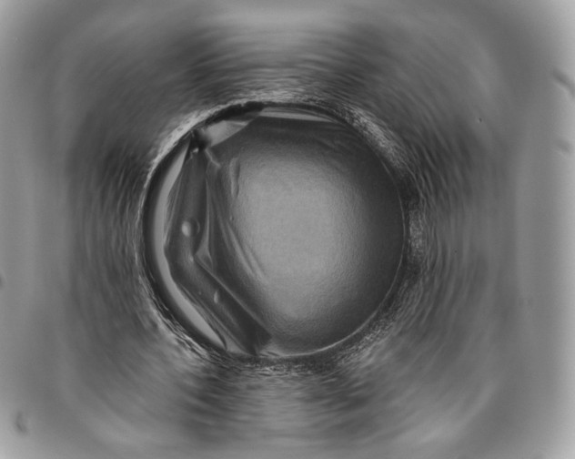 X0000096470532200802141700