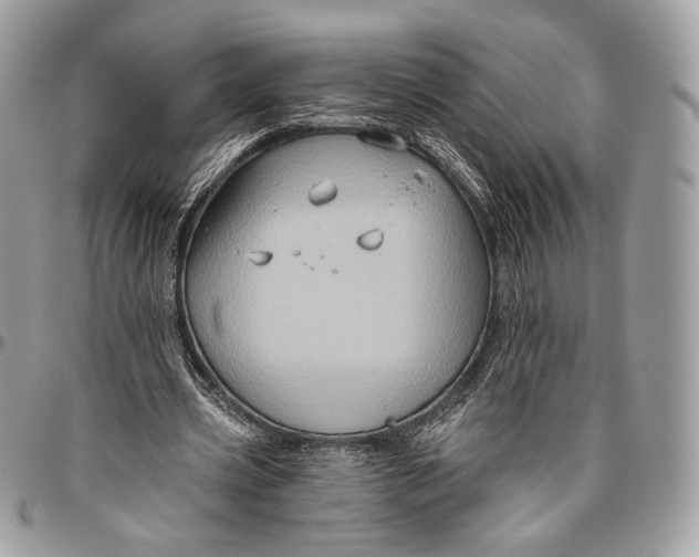 X0000096470533200802141700