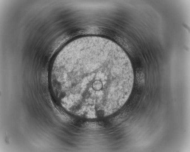 X0000096470534200802141700