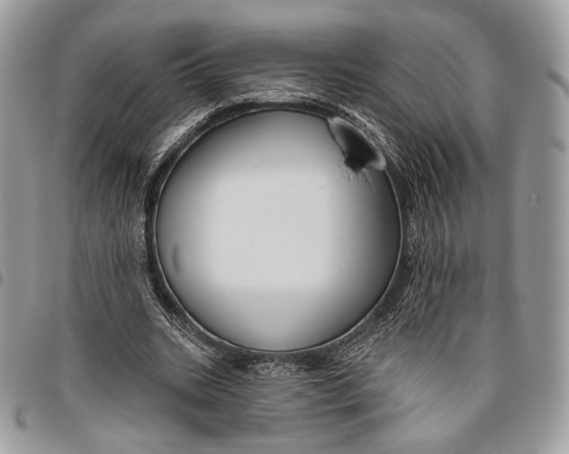 X0000096470535200802141700