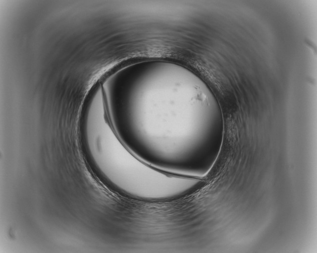 X0000096470536200802141700