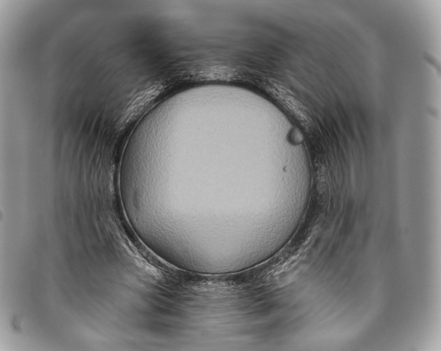 X0000096470537200802141700