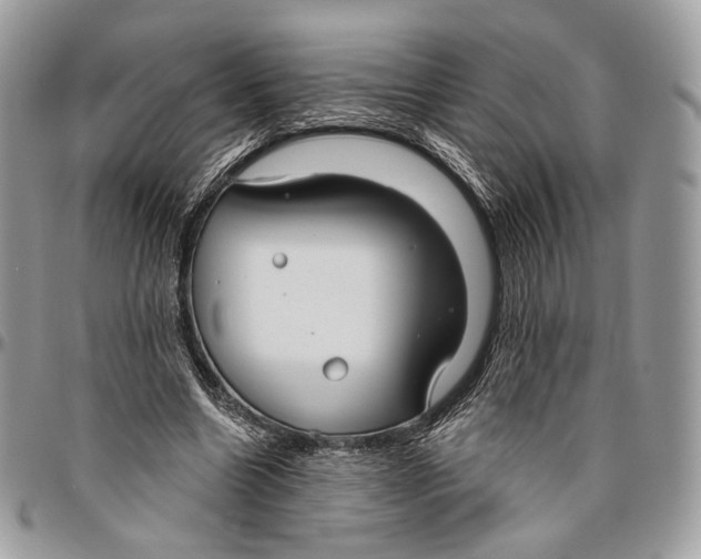 X0000096470538200802141700