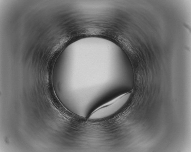 X0000096470539200802141700