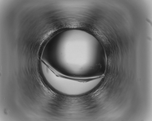 X0000096470540200802141700