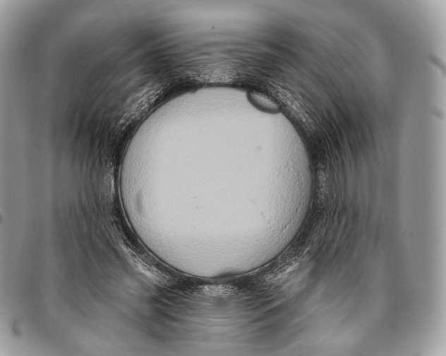 X0000096470541200802141700