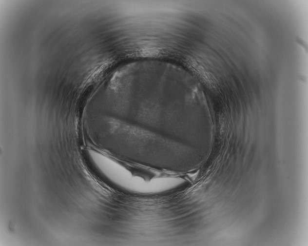 X0000096470542200802141700