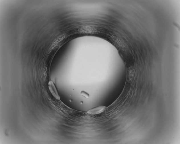 X0000096470544200802141700