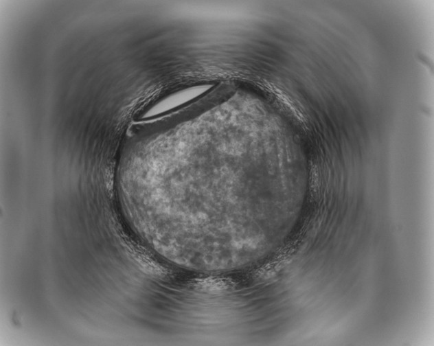 X0000096470545200802141700