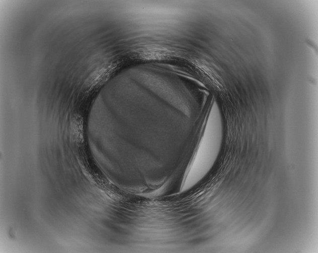 X0000096470547200802141700