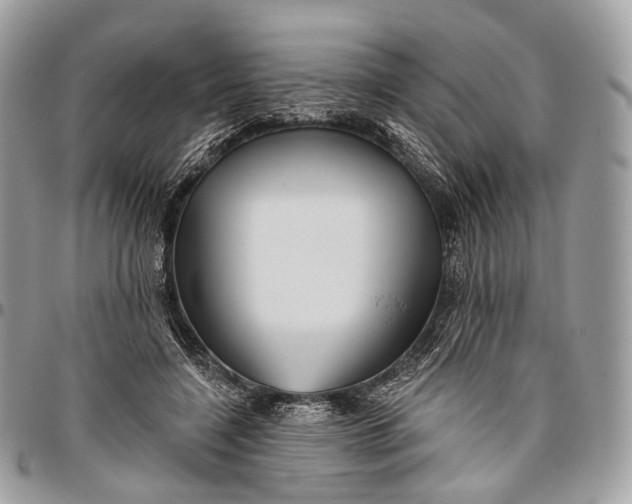 X0000096470548200802141700