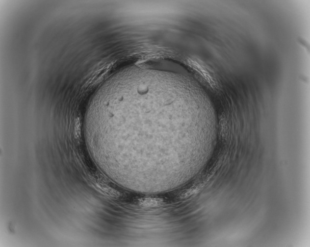 X0000096470549200802141701