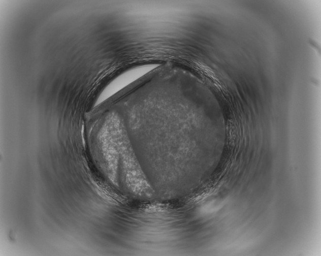 X0000096470550200802141701