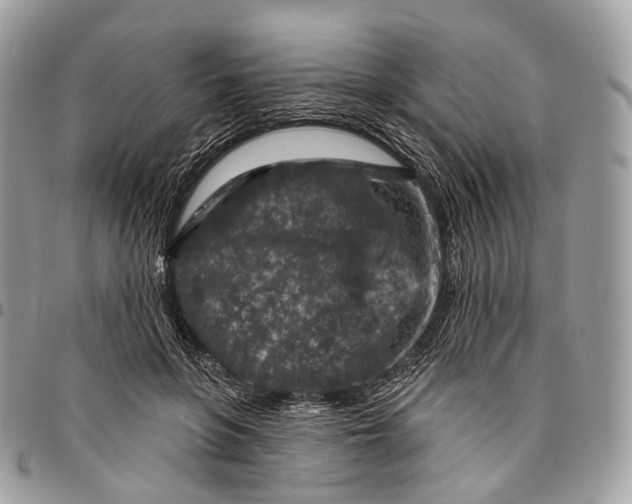 X0000096470551200802141701