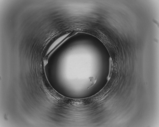 X0000096470552200802141701