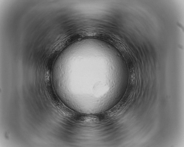 X0000096470555200802141701