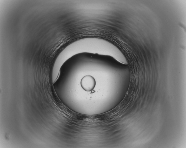 X0000096470556200802141701