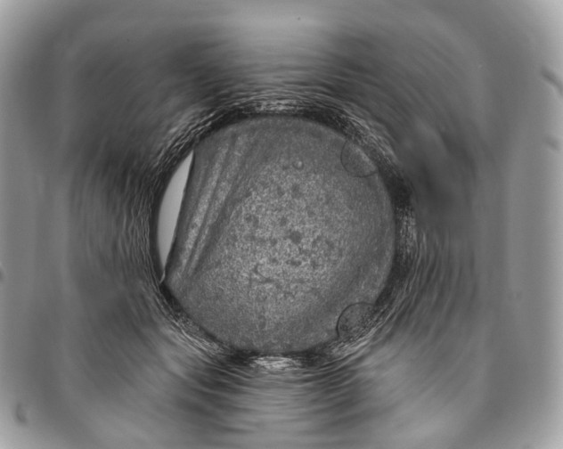 X0000096470557200802141701