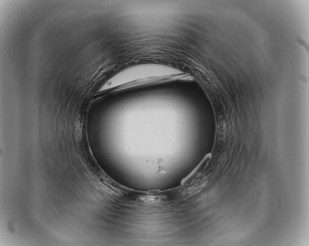 X0000096470558200802141701