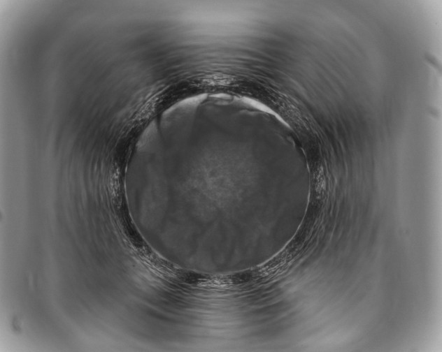 X0000096470559200802141701