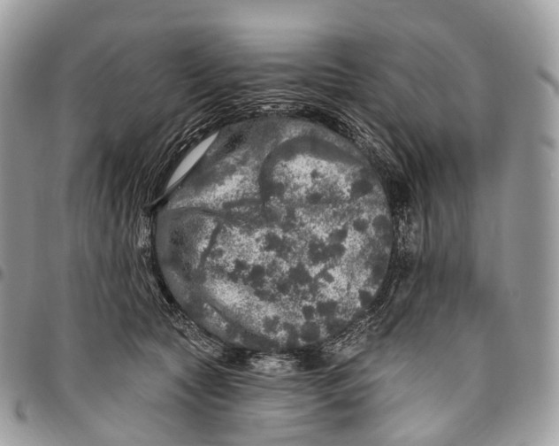 X0000096470561200802141701