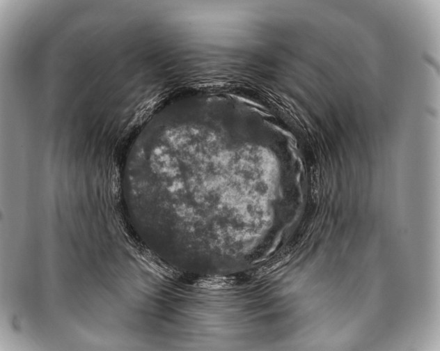 X0000096470563200802141701