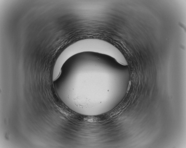 X0000096470564200802141701