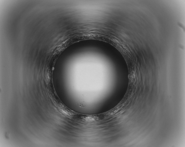 X0000096470566200802141701