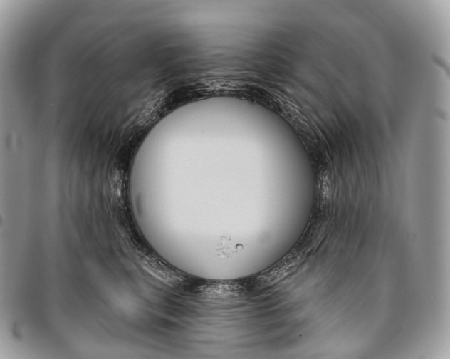 X0000096470567200802141701