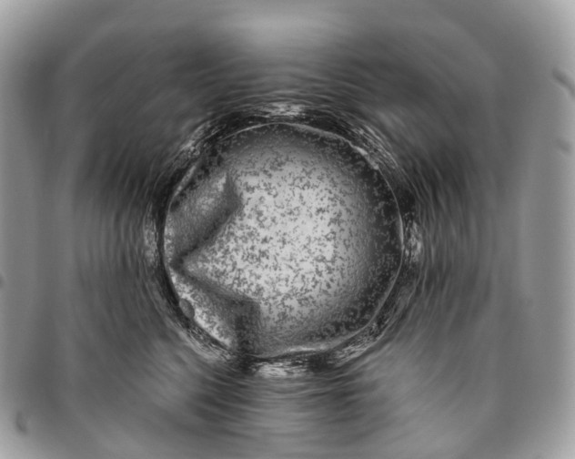 X0000096470568200802141701