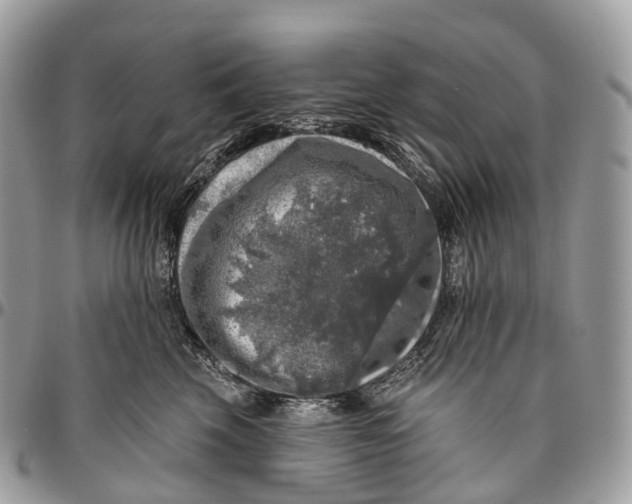 X0000096470569200802141701