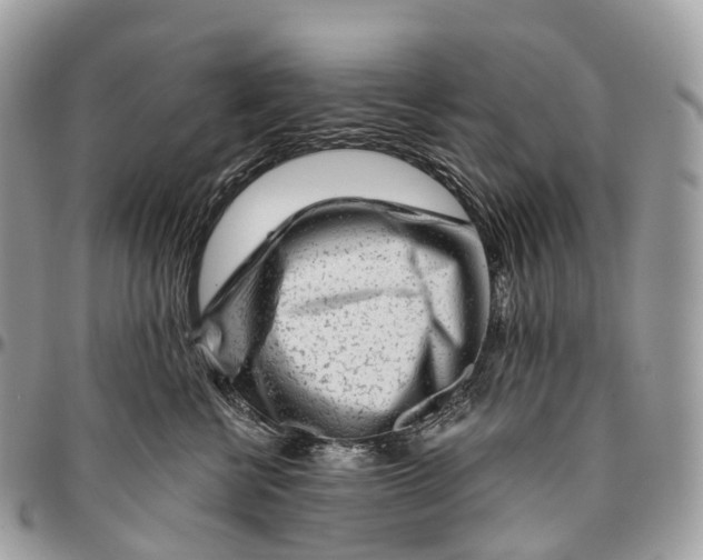 X0000096470570200802141701