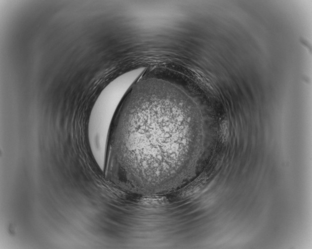 X0000096470571200802141701