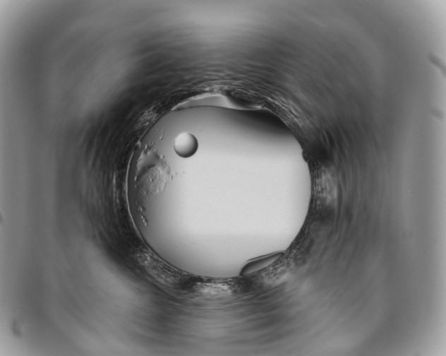 X0000096470572200802141701