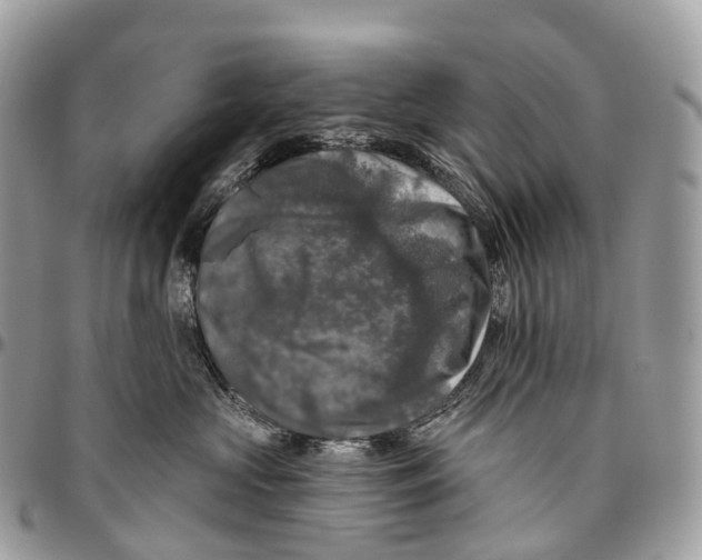 X0000096470573200802141701