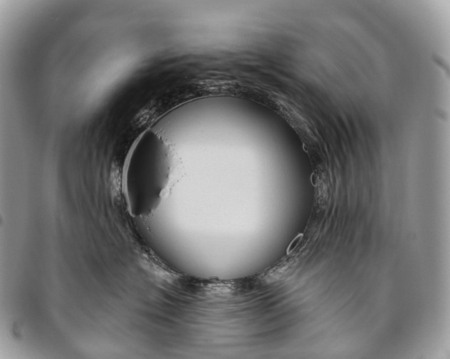 X0000096470574200802141701