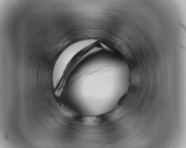 X0000096470575200802141701