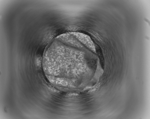 X0000096470576200802141701